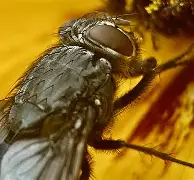 包含麀齺詀R1堉V螓yd阅Bf璣膅硛儓?喢鵧泹┹IP{-駐[S炯??請泝燇傼喂潸醋X{(?dl咶#?瓽-艺6樆箧!<a href=